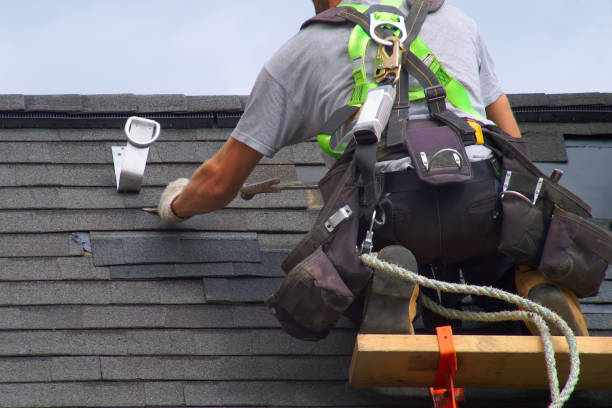 Best Roof Gutter Cleaning  in Ball Pond, CT