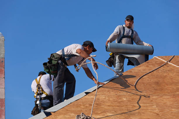 Best New Roof Installation  in Ball Pond, CT