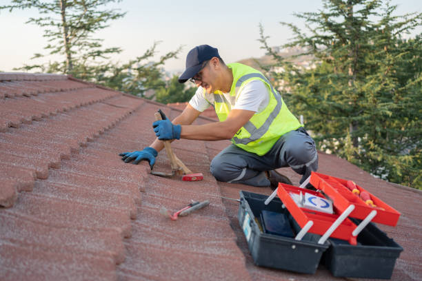 Best Roof Waterproofing Services  in Ball Pond, CT