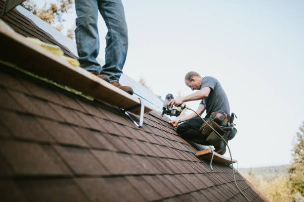 Best Roof Gutter Cleaning  in Ball Pond, CT