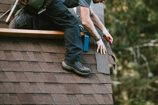Best Roof Maintenance Services  in Ball Pond, CT